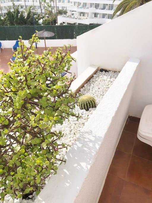 Apartamento Lucia Garden City Con Piscina Climatizada Плайя-Фаньябе Екстер'єр фото